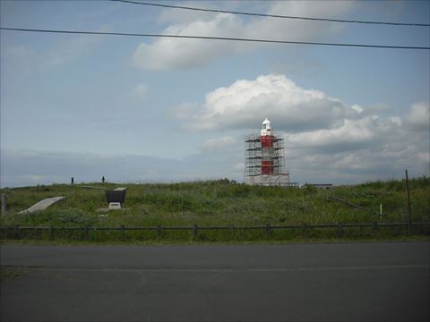 はまなすの花が散り、実が大きくなる時期です(6月29日撮影)